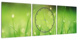 Kép - harmatos fű (órával) (90x30 cm)