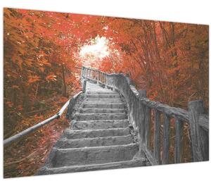 Kép - Lépcsők a természetben, narancssárga (90x60 cm)