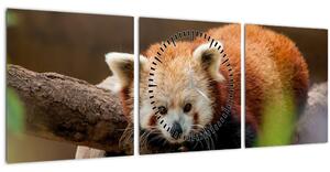 Vörös panda képe (órával) (90x30 cm)