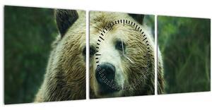 Medve képe (órával) (90x30 cm)
