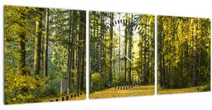 Kép - erdő ősszel (órával) (90x30 cm)