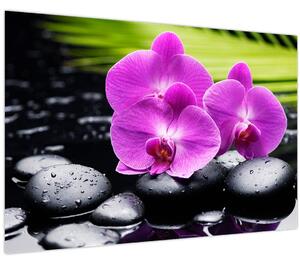 Kép - Orchideák (90x60 cm)