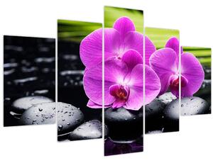Kép - Orchideák (150x105 cm)