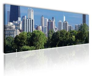 70x40 cm - NY Central Park vászonkép