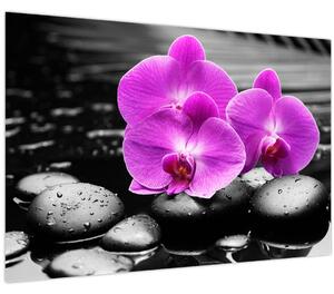 Kép - Lila orchideák (90x60 cm)