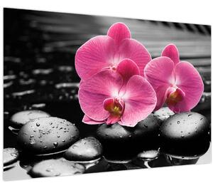 Kép - Rózsaszín orchideák (90x60 cm)