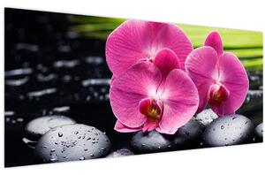 Kép - Rózsaszín orchidea pálmalevéllel (120x50 cm)