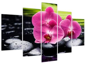 Kép - Rózsaszín orchidea pálmalevéllel (150x105 cm)