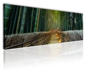 100x70 cm - Arashiyama bambusz erdő vászonkép