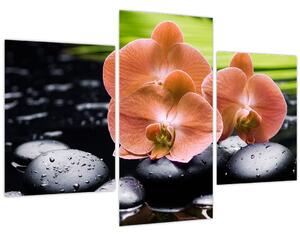 Kép - Narancssárga orchidea pálmalevelekkel (90x60 cm)
