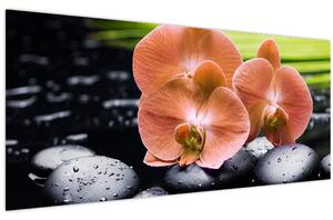 Kép - Narancssárga orchidea pálmalevelekkel (120x50 cm)