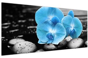 Kép - Kék orchidea (120x50 cm)