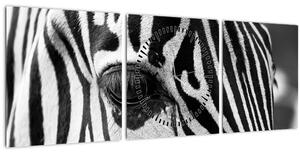 Zebra képe (órával) (90x30 cm)