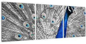 Kék páva képe (órával) (90x30 cm)