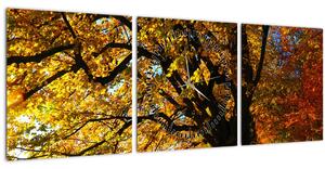 Egy őszi fa képe (órával) (90x30 cm)
