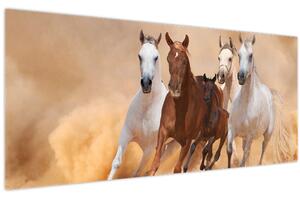 Kép - Lócsorda (120x50 cm)