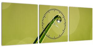 Víz csepp a fűben képe (órával) (90x30 cm)