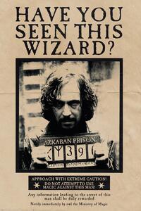 Plakát Harry Potter - Wanted Sirius Black, (61 x 91.5 cm)