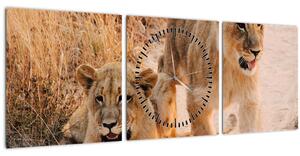 Kép - Kölyök oroszlánok (órával) (90x30 cm)