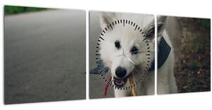 Egy fehér kutya képe (órával) (90x30 cm)