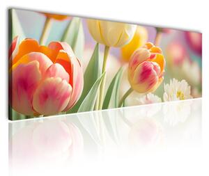 100x70 cm - Színes holland tulipánok vászonkép