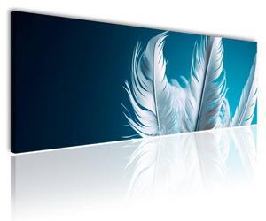 150x50 cm - Fehér tollak kékes háttér vászonkép