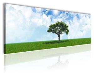 150x50 cm - Zöld fa a réten a kék ég alatt vászonkép