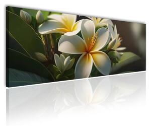 70x40 cm - Hawaii rózsa vászonkép
