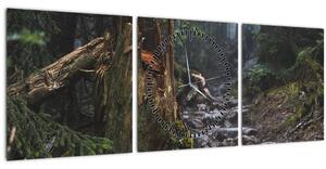 Kép - Az erdőben (órával) (90x30 cm)