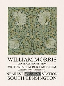 Reprodukció Pimpernel (Special Edition) - William Morris, (30 x 40 cm)