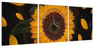Kép - Napraforgók és a virágszirmok (órával) (90x30 cm)