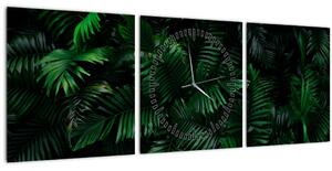 Kép - trópusi páfrány (órával) ()
