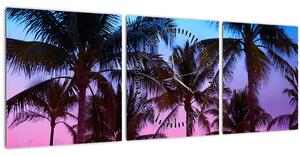 Kép - Pálmafák Miamiban (órával) (90x30 cm)