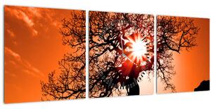 Kép - Tölgy napnyugtakor (órával) (90x30 cm)