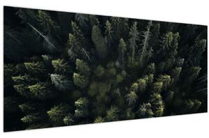 Kép - Forest (120x50 cm)