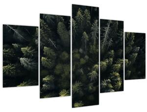 Kép - Forest (150x105 cm)
