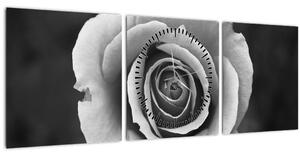 Egy rózsa képe (órával) (90x30 cm)
