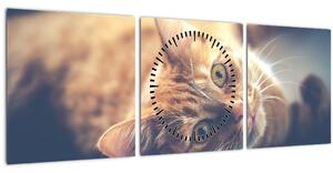 Egy kép a macskáról a padlón (órával) (90x30 cm)