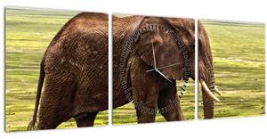 Egy elefánt képe (órával) (90x30 cm)