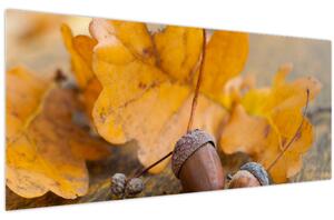 Kép - Őszi makk (120x50 cm)
