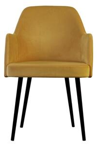 Stílusos fotel Ryland - különféle színek