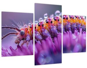 Kép - Caterpillar (90x60 cm)