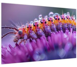 Kép - Caterpillar (90x60 cm)