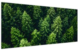 Kép - Forest (120x50 cm)