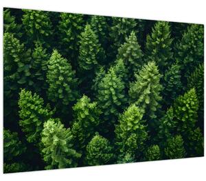 Kép - Forest (90x60 cm)