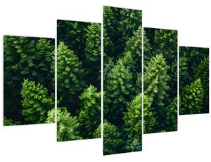 Kép - Forest (150x105 cm)