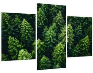Kép - Forest (90x60 cm)