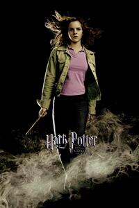 Művészi plakát Harry Potter - Hermione Granger, (26.7 x 40 cm)