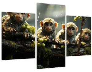 Kép - Majmok (90x60 cm)