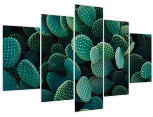 Kép - Opuntia (150x105 cm)